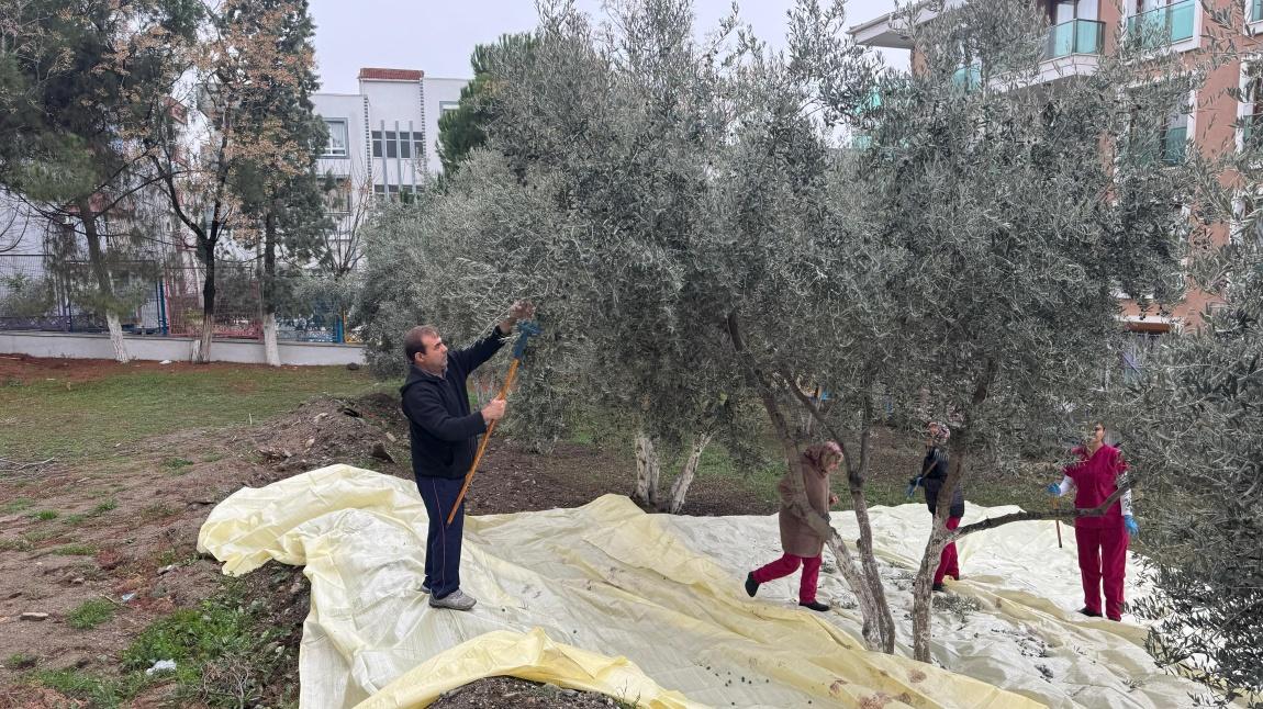 Okul Bahçesinden Okul Bütçesine Katkı